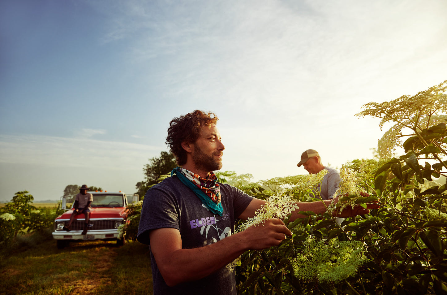 Elder Farms