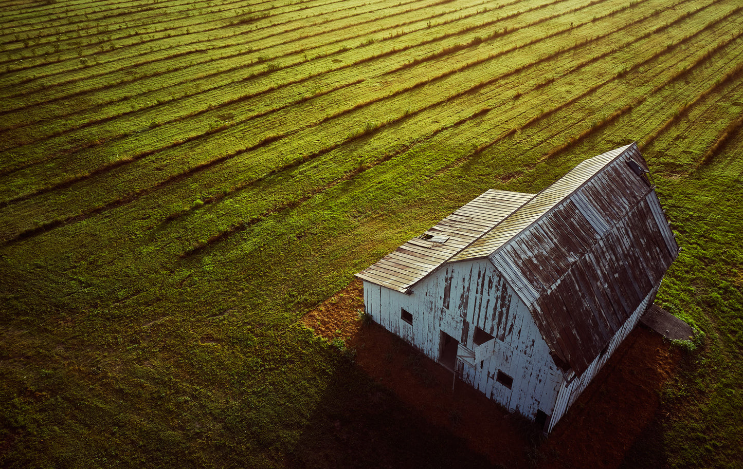 Elder Farms