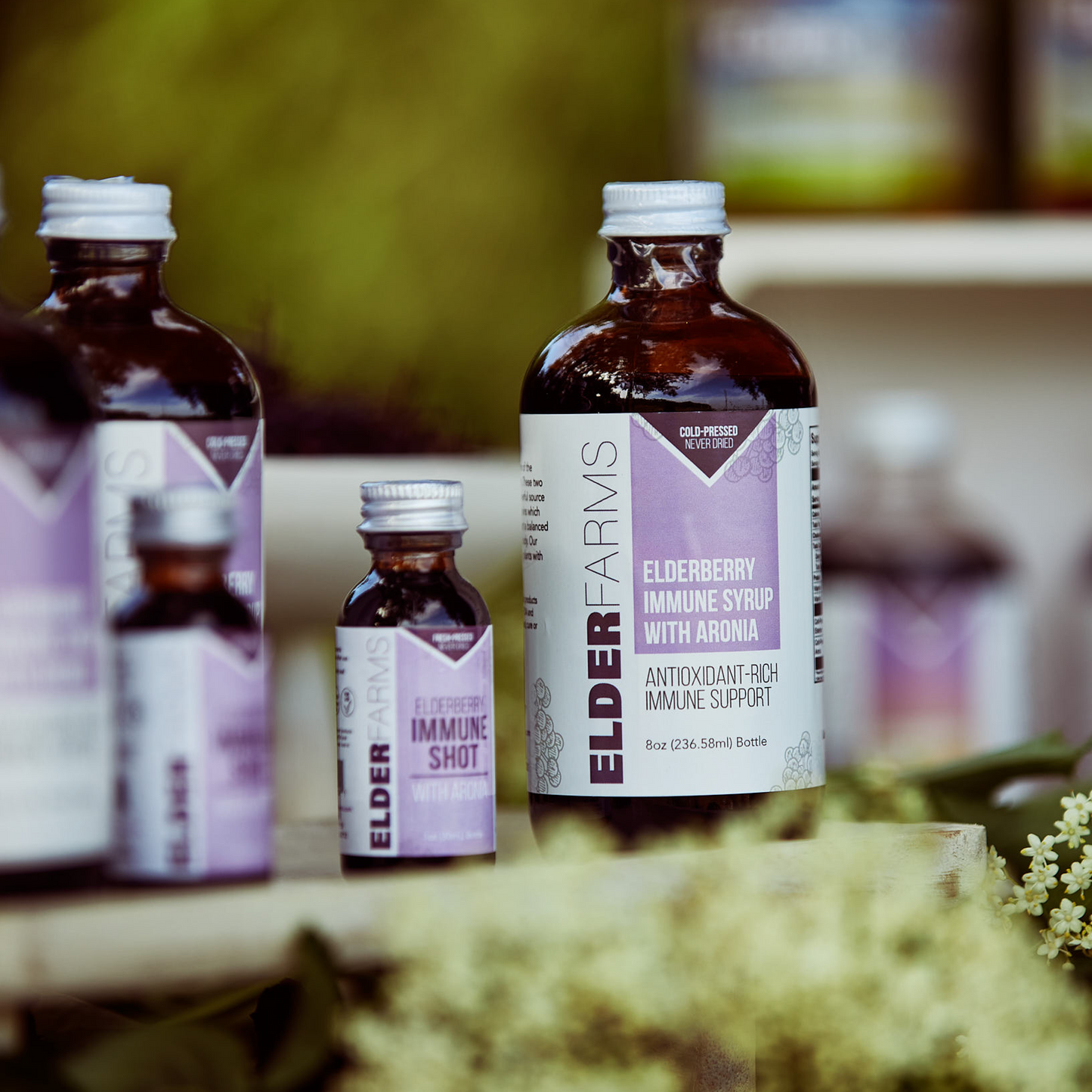 Elderberry Immune Syrup with Aronia