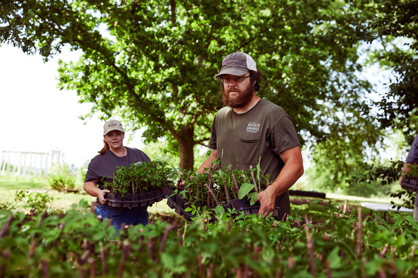 Elder Farms