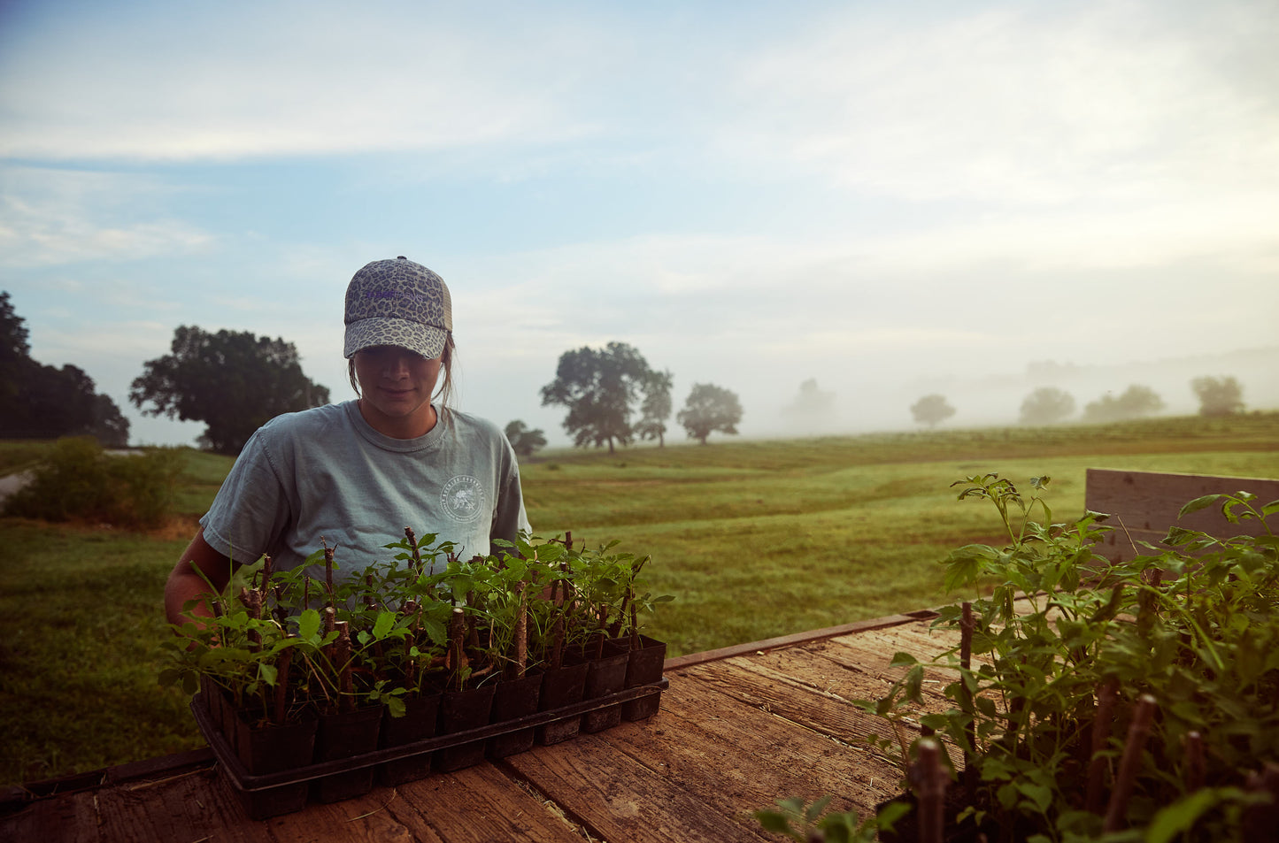 Elder Farms