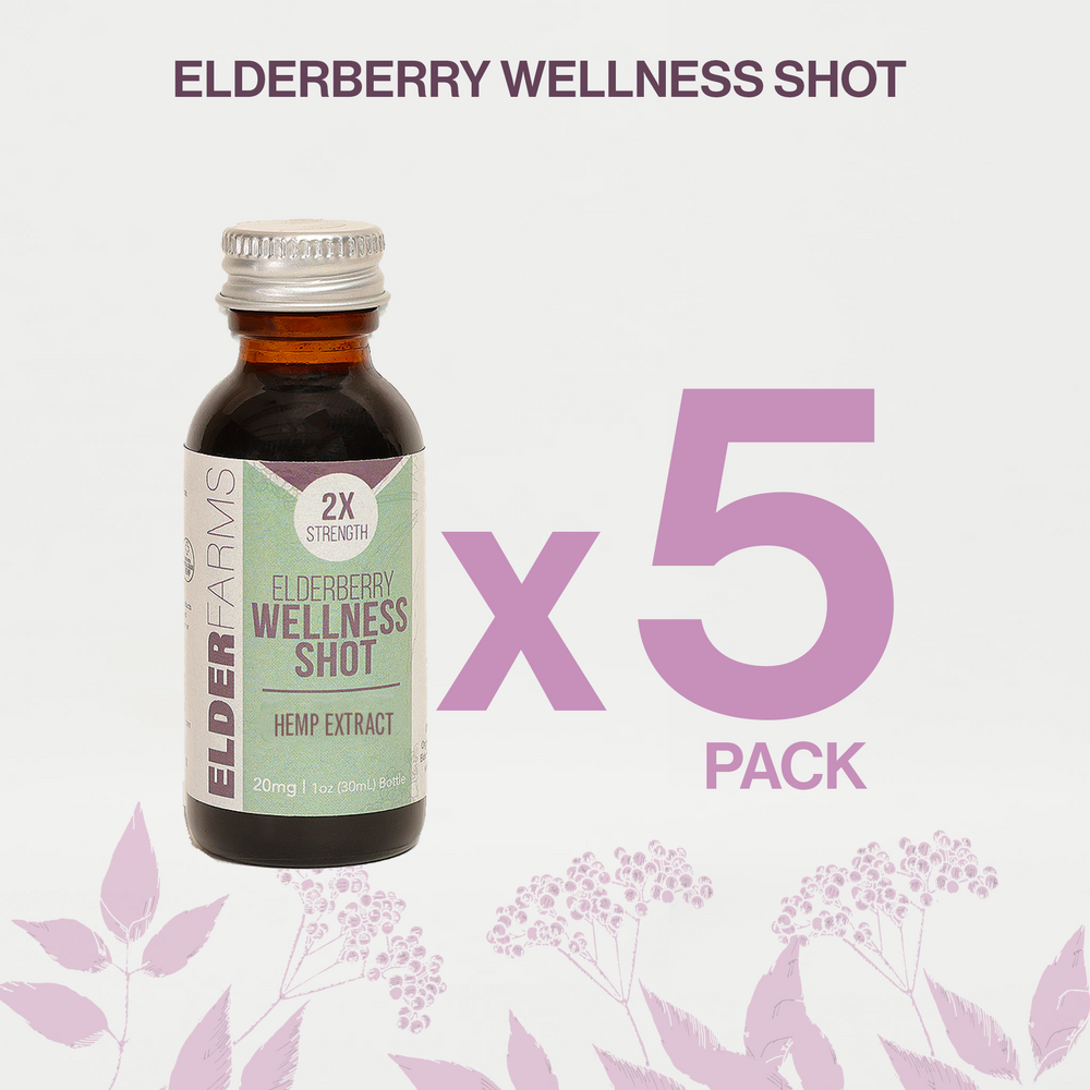 Elderberry Wellness Shot w/ 20mg Hemp (1oz) 5 Pack