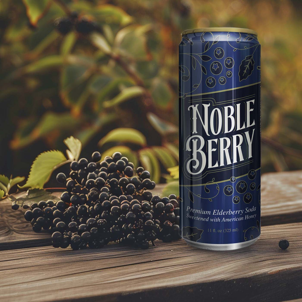 Noble Berry Elderberry Premium Soda - 12 Pack Case